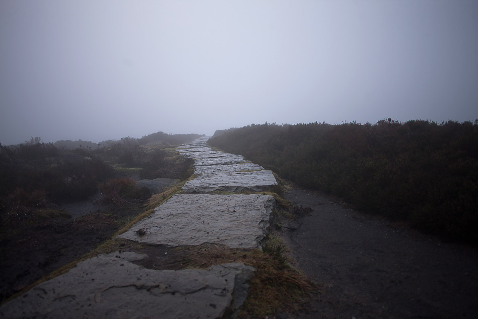 path l;eads over a grey skied moor